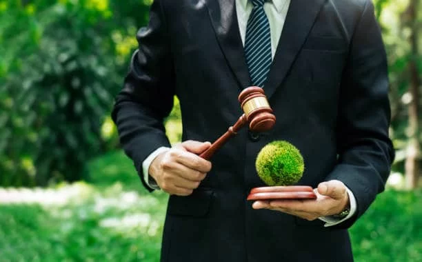 How an Environmental Lawyer Can Help You Navigate Legal Challenges in Environmental Protection